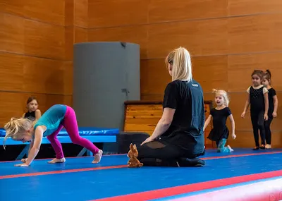 Stowarzyszenie Pojęcie Ruchu